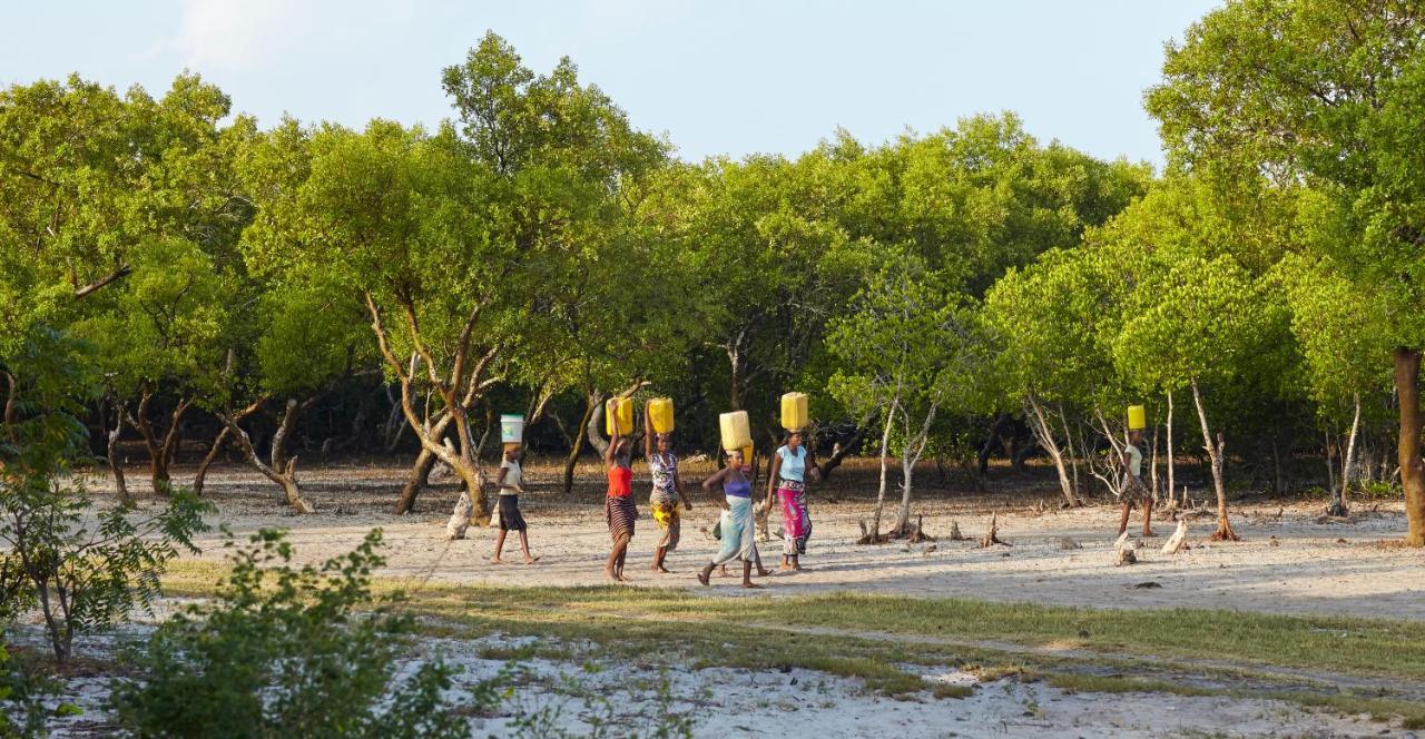 Mangrove View Bed & Breakfast Watamu Exterior photo