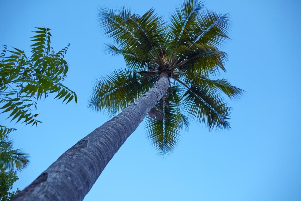 Mangrove View Bed & Breakfast Watamu Exterior photo